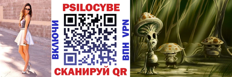 blacksprut ССЫЛКА  Мглин  Псилоцибиновые грибы Magic Shrooms  сколько стоит 